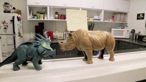 FIMS: A Three Minute Grad Studies Tour