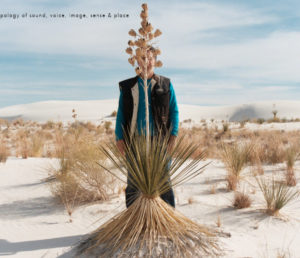 Photo of the homepage of Steven Feld's website