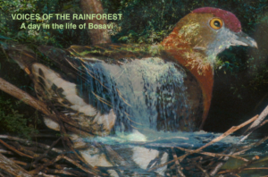 Voices of the Rainforest Film Poster