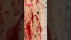 Creating the Gone Girl Dress Effects