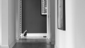 “Charlie’s Whales” - 01: Linear Hallway. Deep Space/One-Point Perspective (Block, 14-18), Low Angle (Bordwell and Thompson, 188-190)
