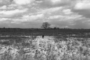 “High on Life” - 06: Man Walking in Open Field. Extreme Long Shot (Bordwell and Thompson, 189-190)