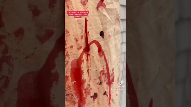 Video by Alysha Bauer Creating the Gone Girl Dress Effects