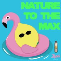 Nature to the Max - Final project for MIT 2600