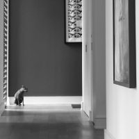 “Charlie’s Whales” - 01: Linear Hallway. Deep Space/One-Point Perspective (Block, 14-18), Low Angle (Bordwell and Thompson, 188-190)