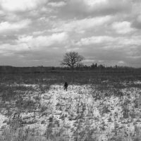 “High on Life” - 06: Man Walking in Open Field. Extreme Long Shot (Bordwell and Thompson, 189-190)