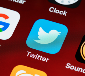 Elon Musk’s purchase of Twitter Image of Twitter app icon